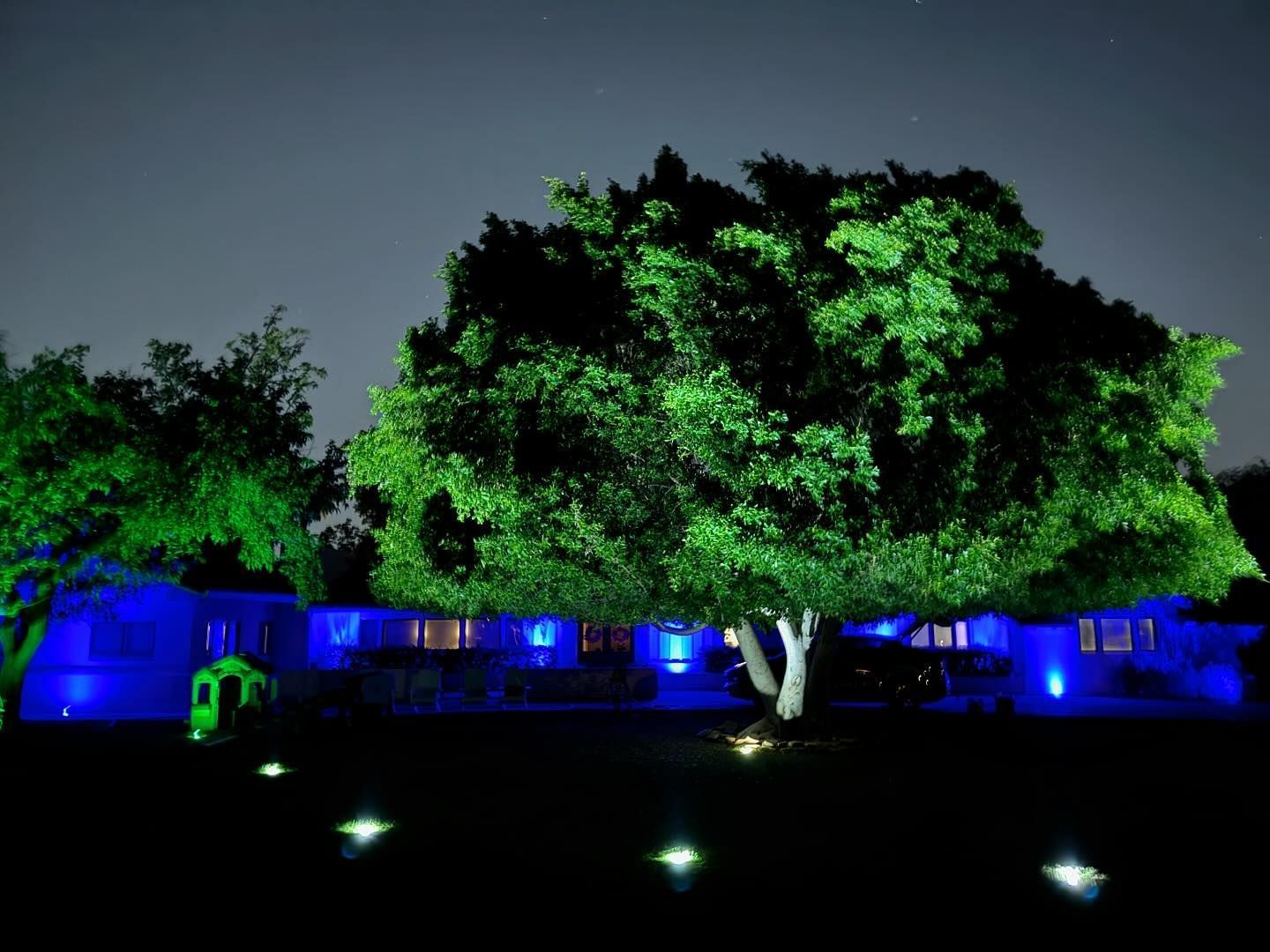 A house is lit up with blue lights and a tree is lit up with green lights.