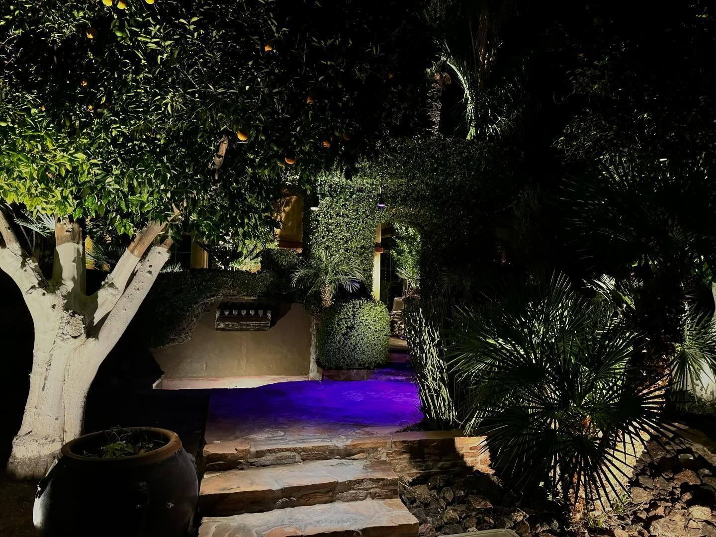 A purple pool is surrounded by trees and steps at night.