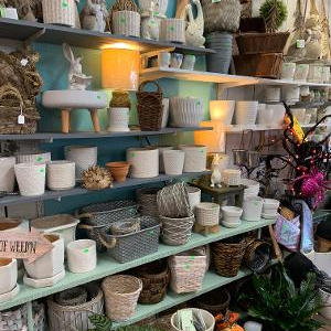 Plant Gift Shop in Wilmington, NC | The Plant Place