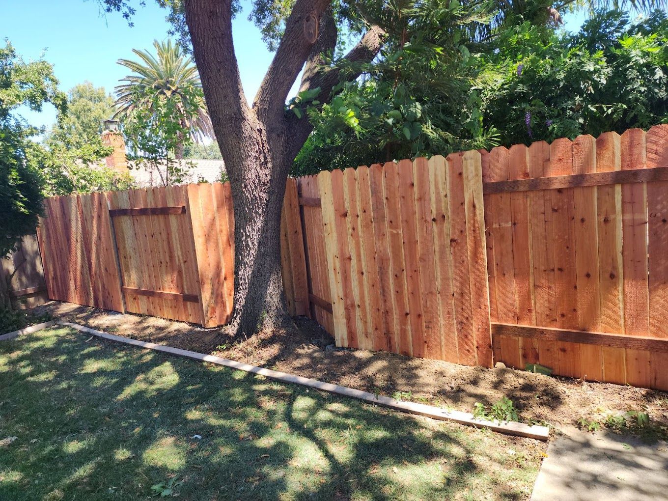 A wooden fence is surrounded by trees in a backyard.