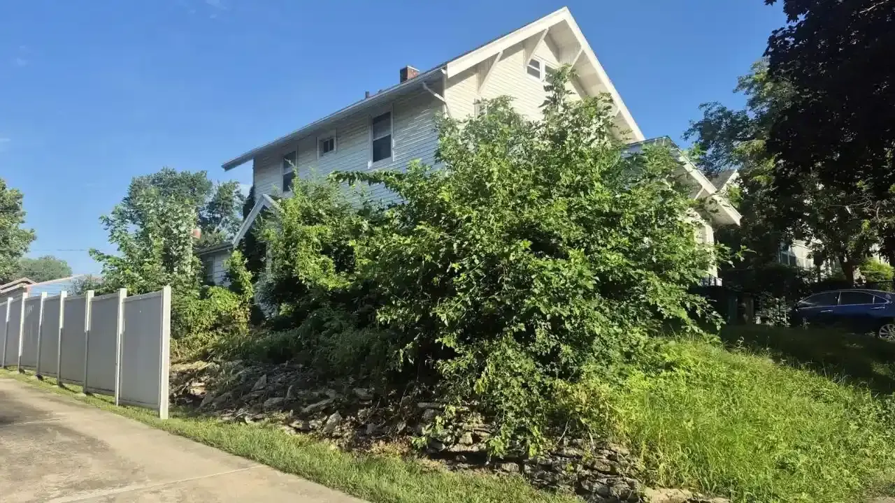 Before brush clearing of an overgrown yard in Des Moines, Iowa