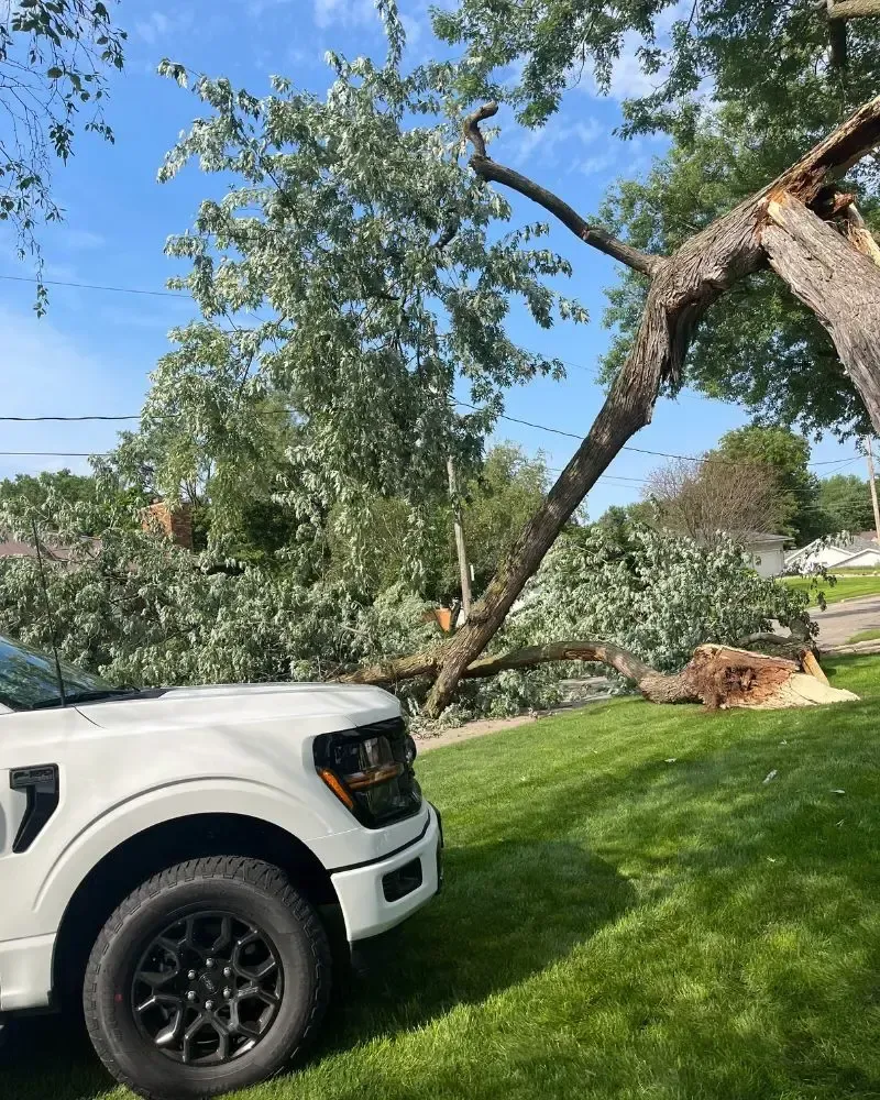 Emergency storm-damage tree removal in Des Moines, IA — rapid response and hazardous limb cleanup.