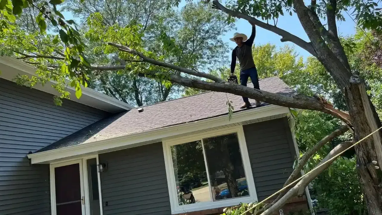 Hazard limb removed from roof in Des Moines