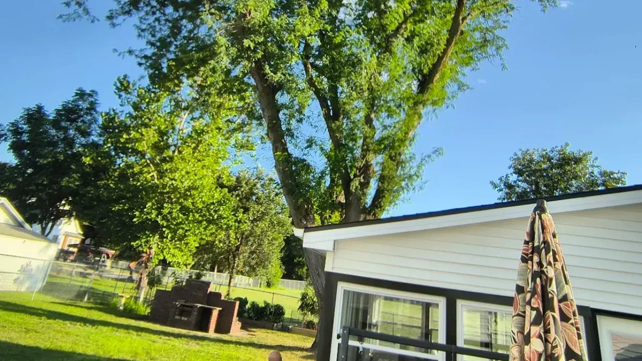Before tree removal in Ames Iowa with large tree obstructing residential home