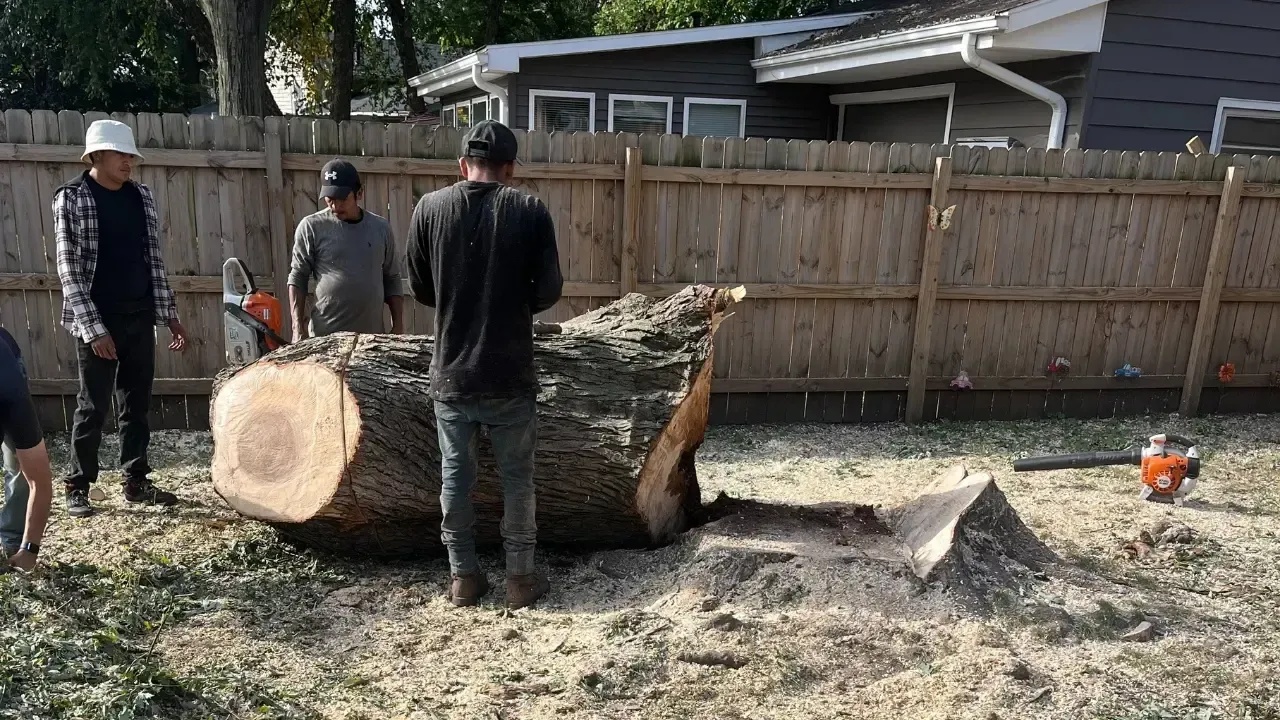Stump cleanup crew in Ankeny