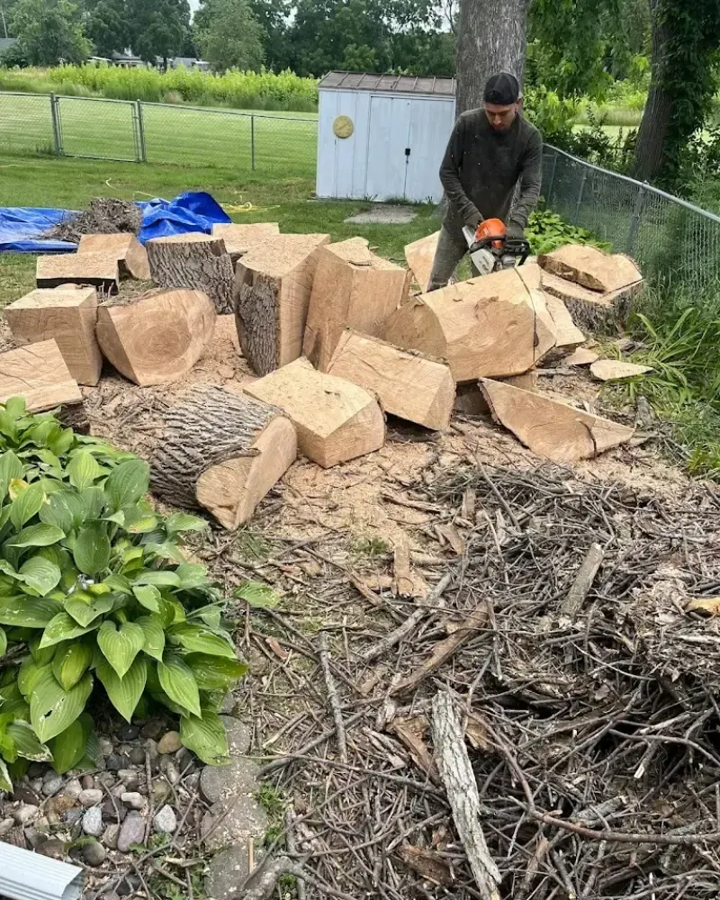 Log cutting during removal in Ankeny