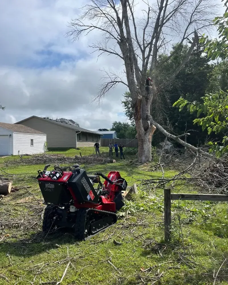 Mini skid steer removing tree branches during professional tree removal in Des Moines, IA — efficient cleanup and debris hauling.