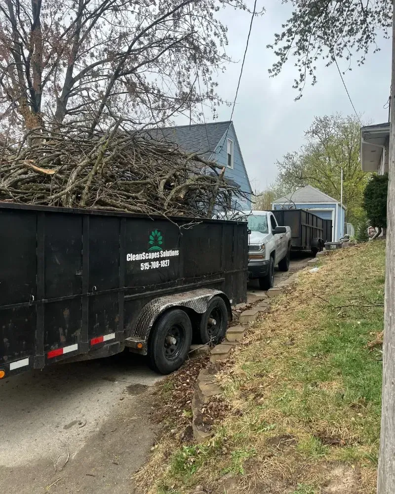 Tree debris hauled away in Ames