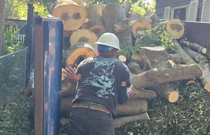Licensed arborist performing tree removal with permit in residential Des Moines, Iowa