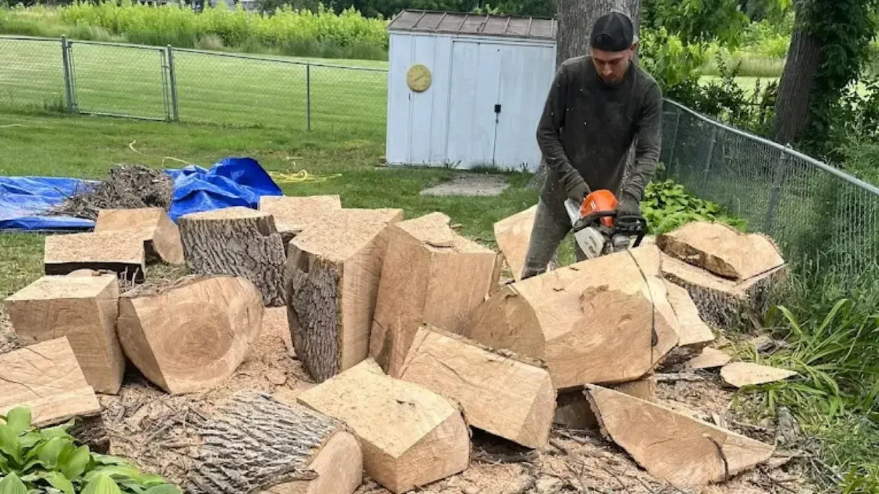 Tree log cutting and yard cleanup service in Des Moines, Iowa — efficient debris removal.