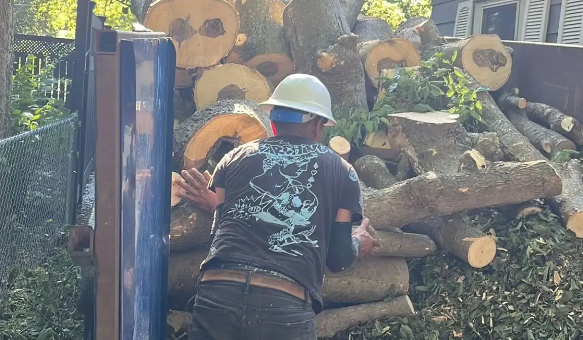 Tree removal crew stacking cut logs for hauling in Des Moines residential neighborhood