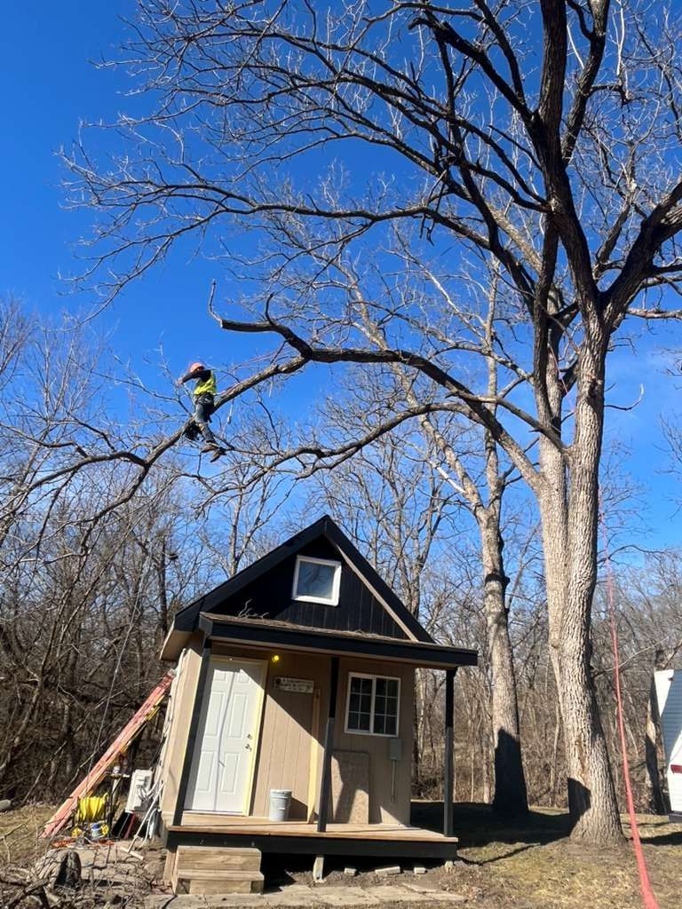 Tree removal job in Ames Iowa showing tight access and controlled work near a home