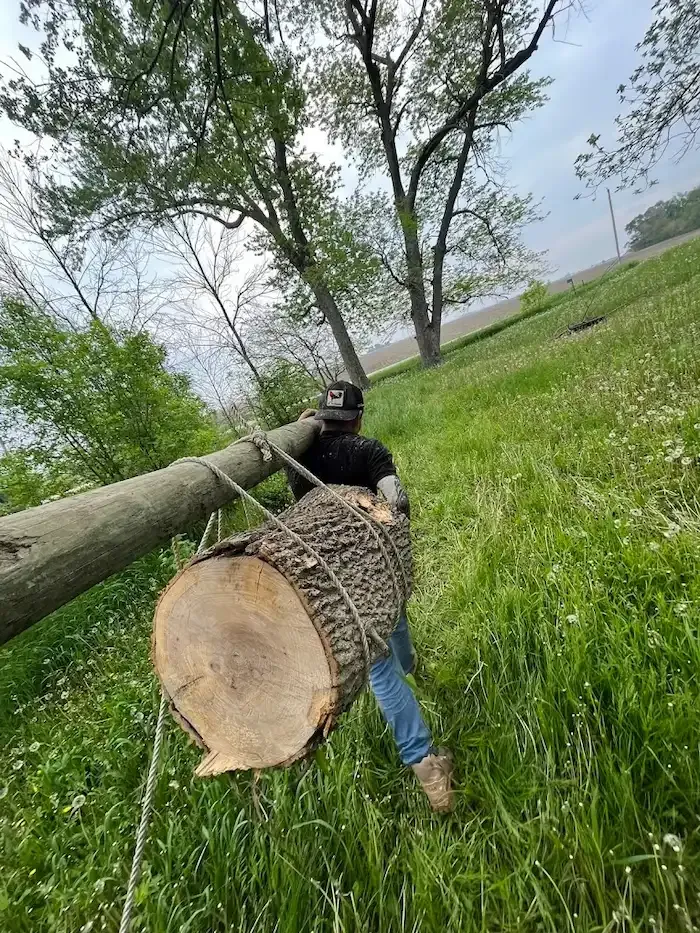 CleanScape Solutions crew hauling a secured log during a professional tree removal in Iowa