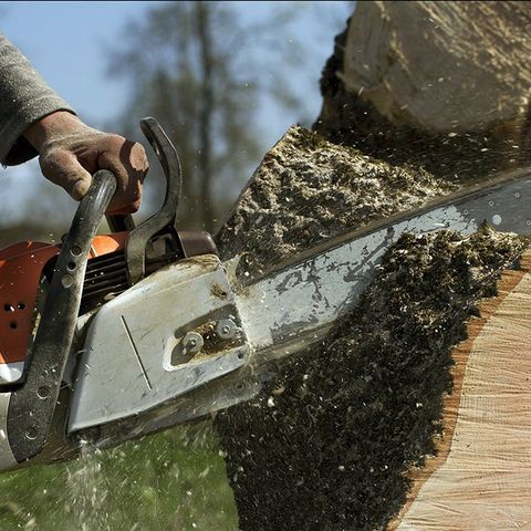 Cutting the Tree Stump with a Chainsaw — Arvada, CO — High Prairie Tree & Shrub, Inc.