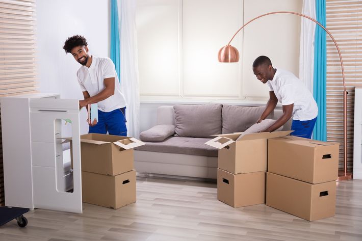 Two men are moving boxes in a living room.