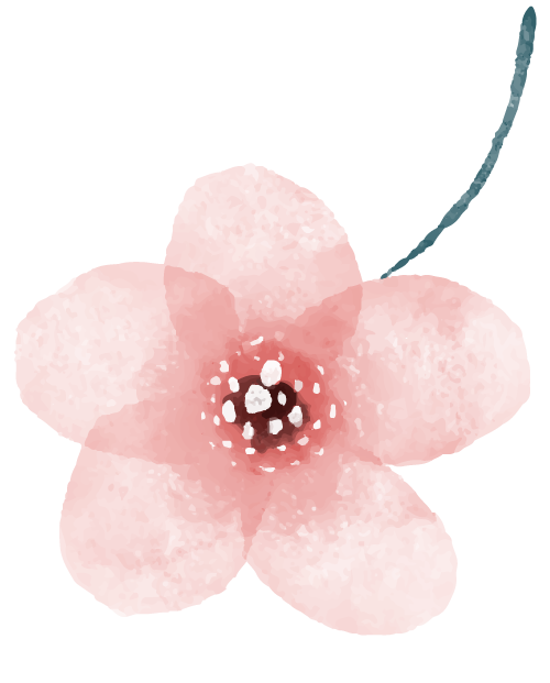 Pink watercolor flower with dark center and green stem.