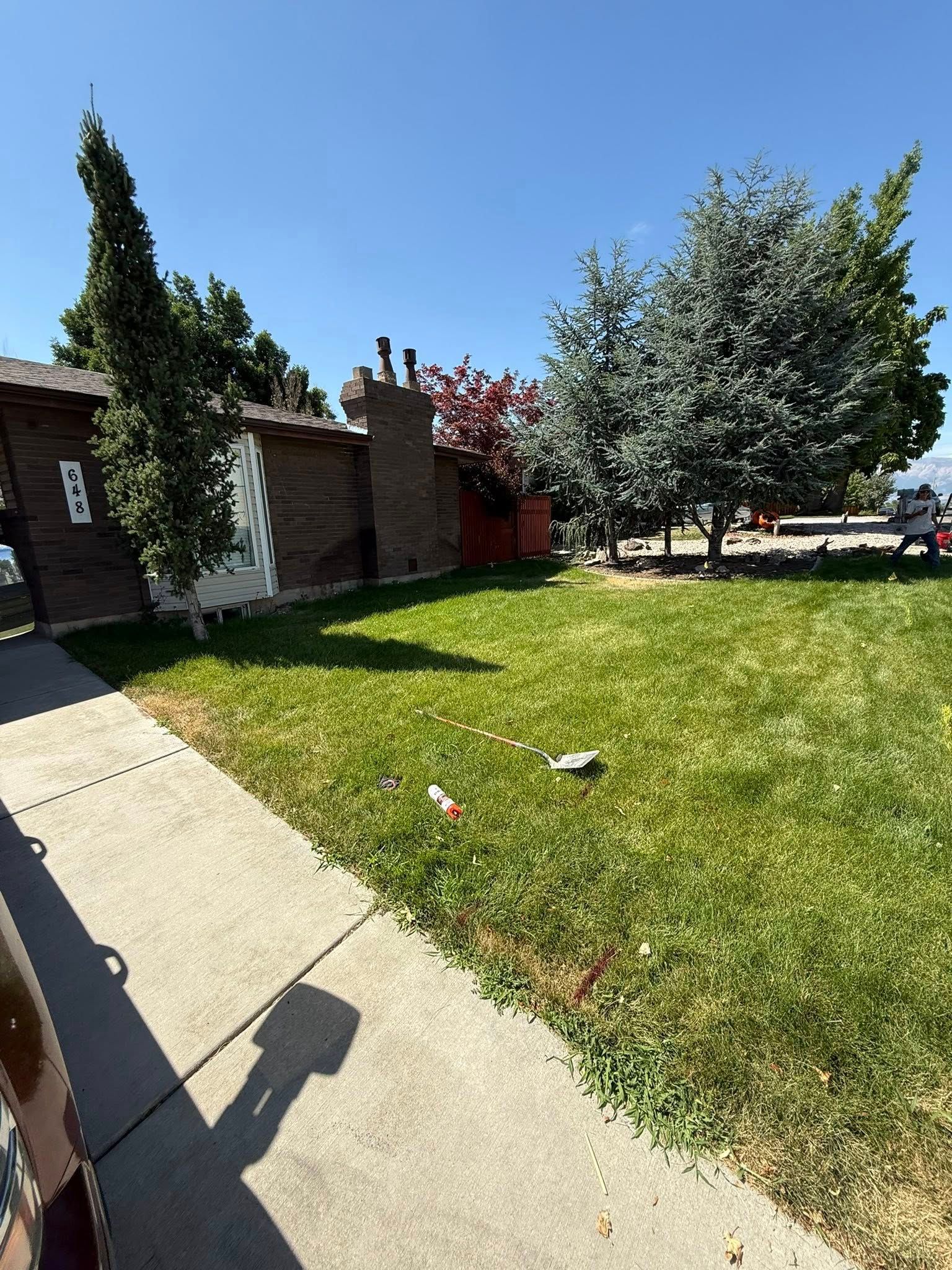 A bright, sunny view of a residential front lawn, a concrete sidewalk, and a brick house with trees under a blue sky.