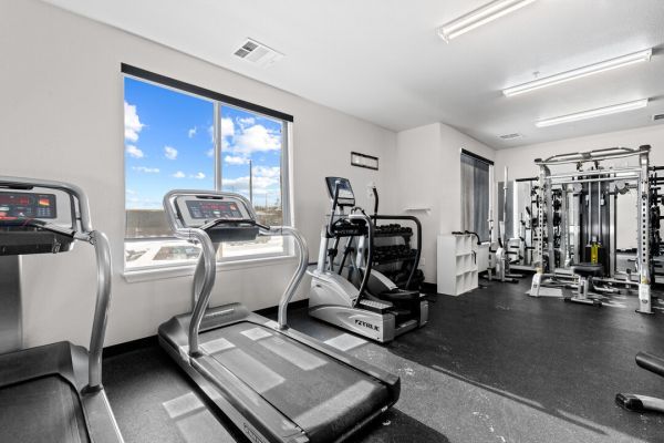 Bright gym with treadmills, elliptical, and weight machines under large windows