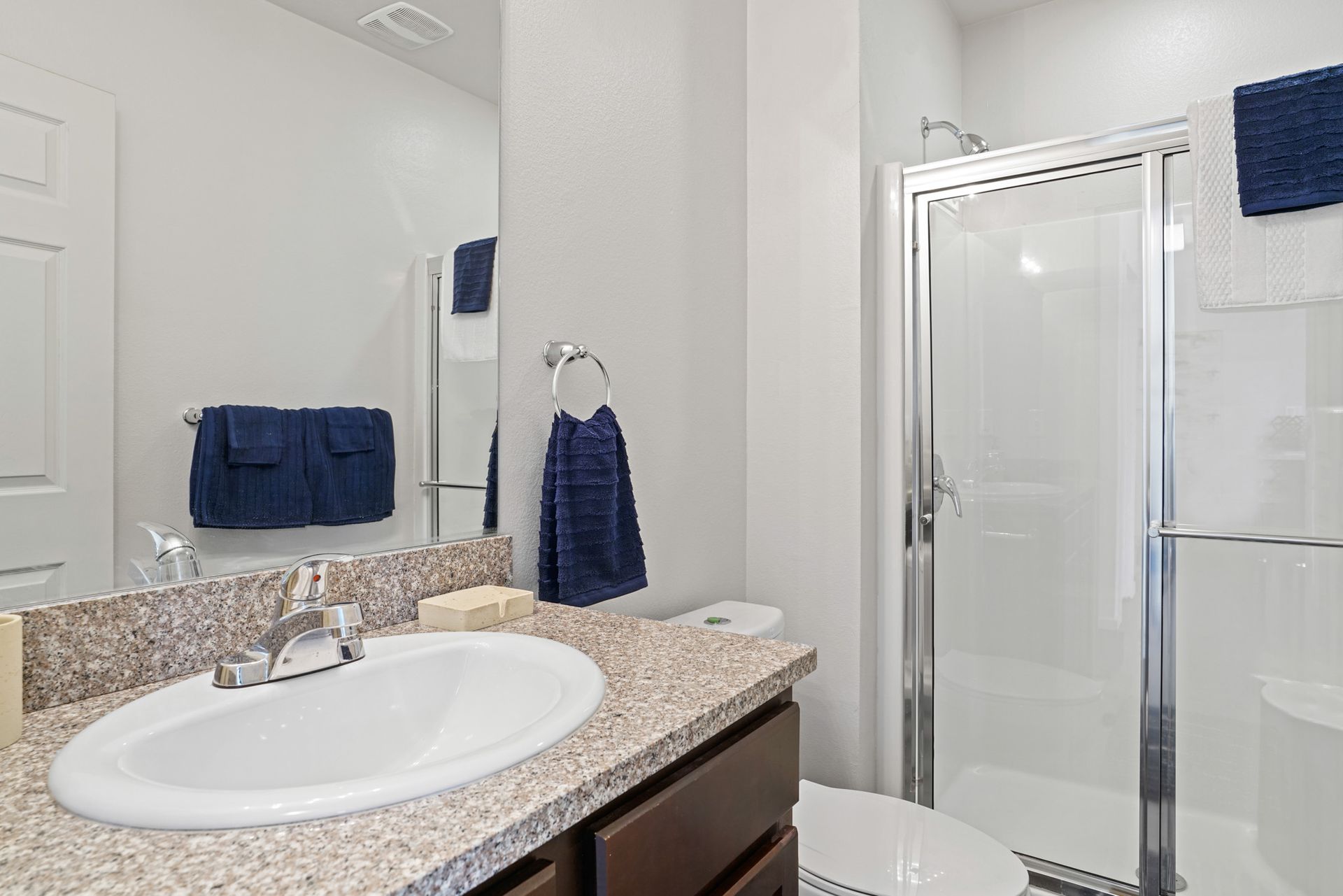 Bright bathroom with granite sink vanity, mirror, and glass shower stall