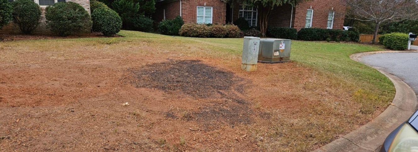 A patchy, brown lawn in front of a brick house with green bushes and a concrete curb.
