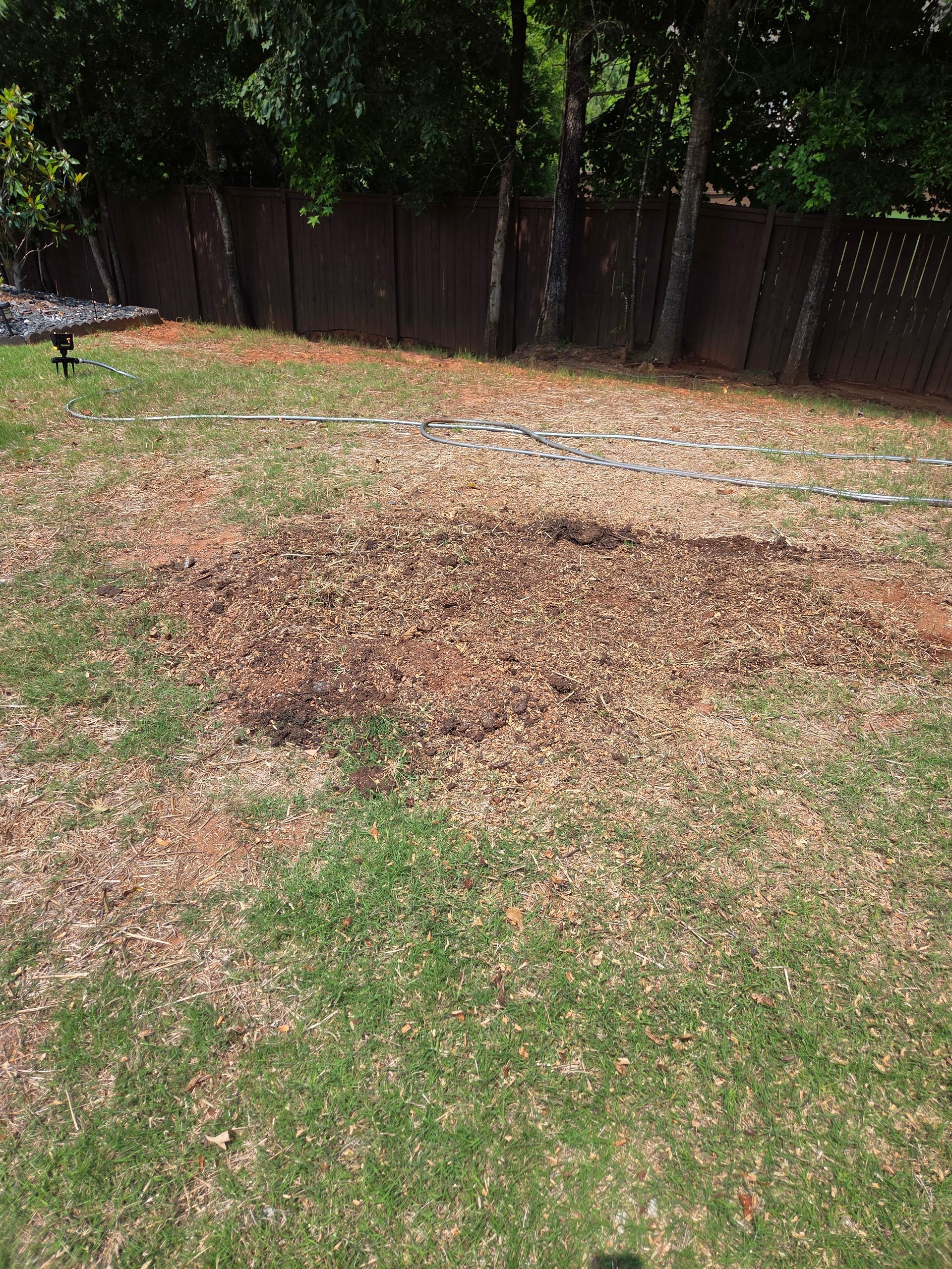 Brown mulch patch in a lawn with dying grass, near a wooden fence and trees.