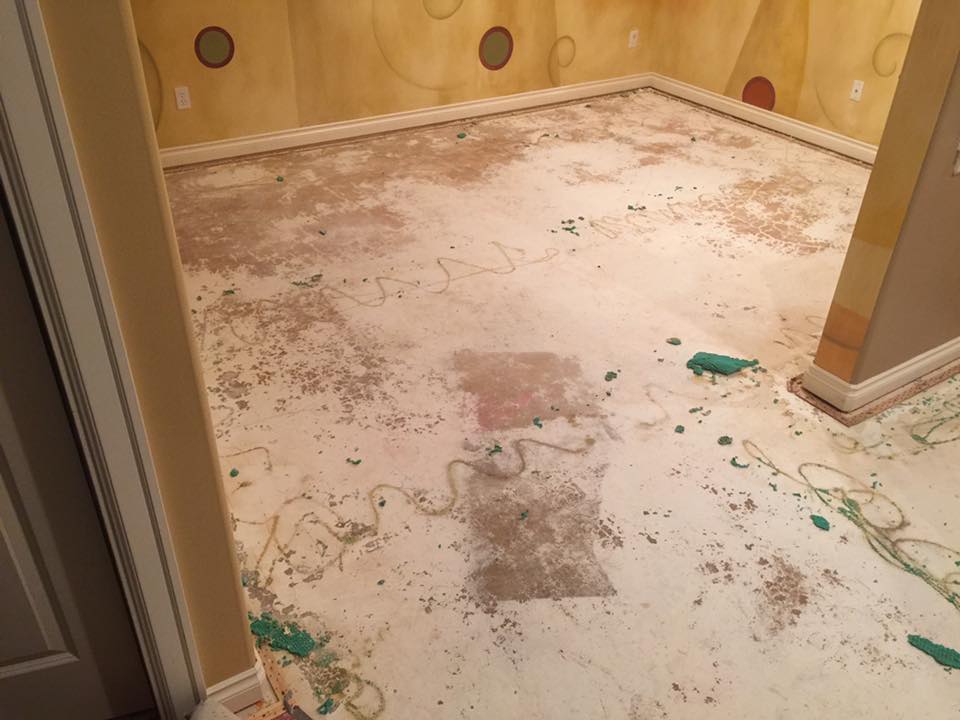 Carpet Repairs in Seattle, WA Carpets by Chris