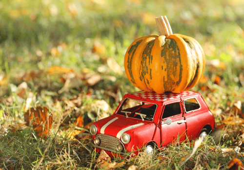 Is Your Car Ready For Thanksgiving Travel?