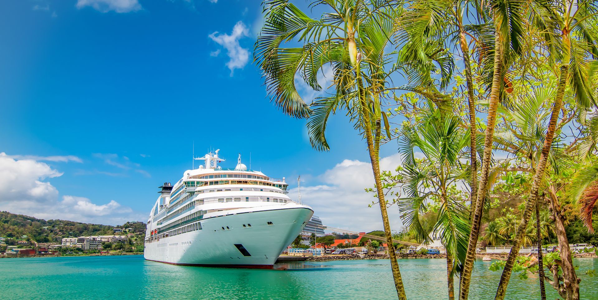 A large cruise ship is docked in a harbor surrounded by palm trees.