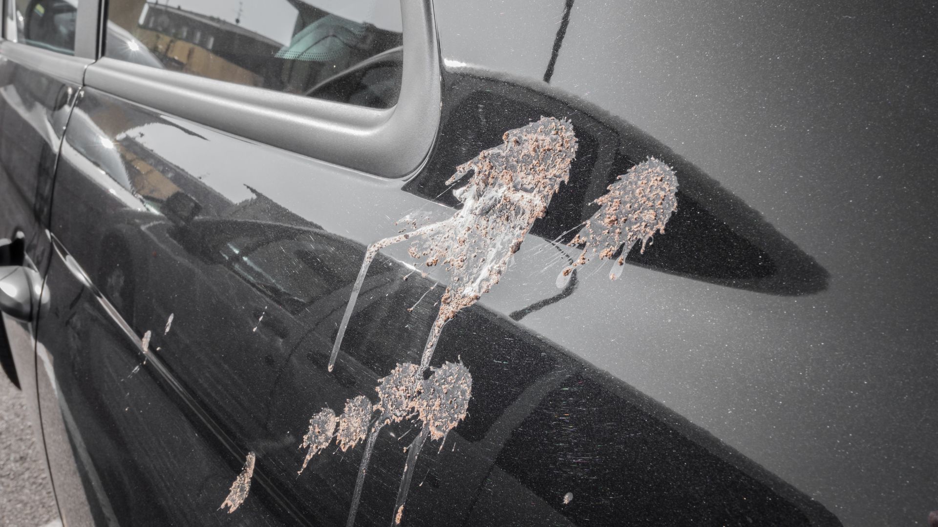 Does Ceramic Coating Protect Against Bird Droppings?