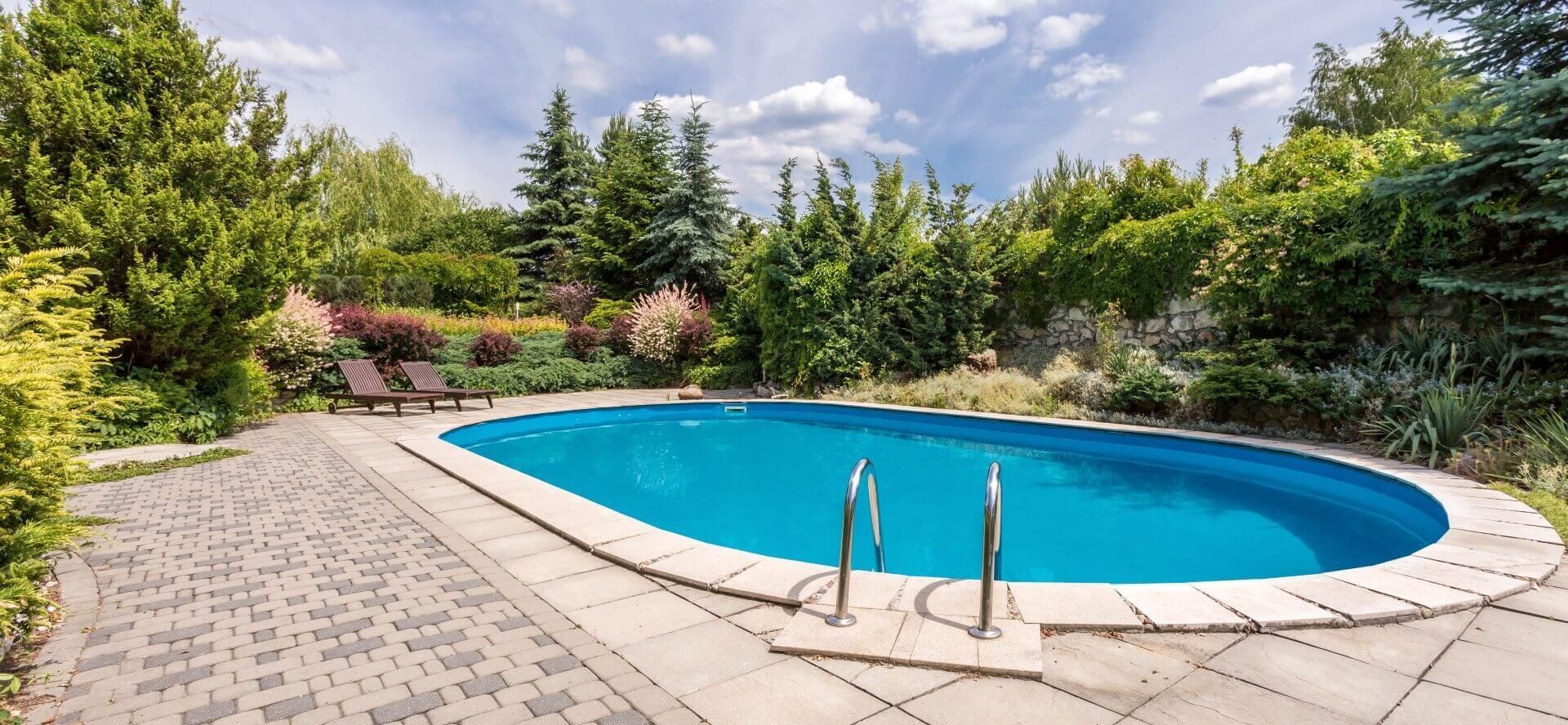 A beautiful concrete pool in a backyard, surrounded by soothing nature