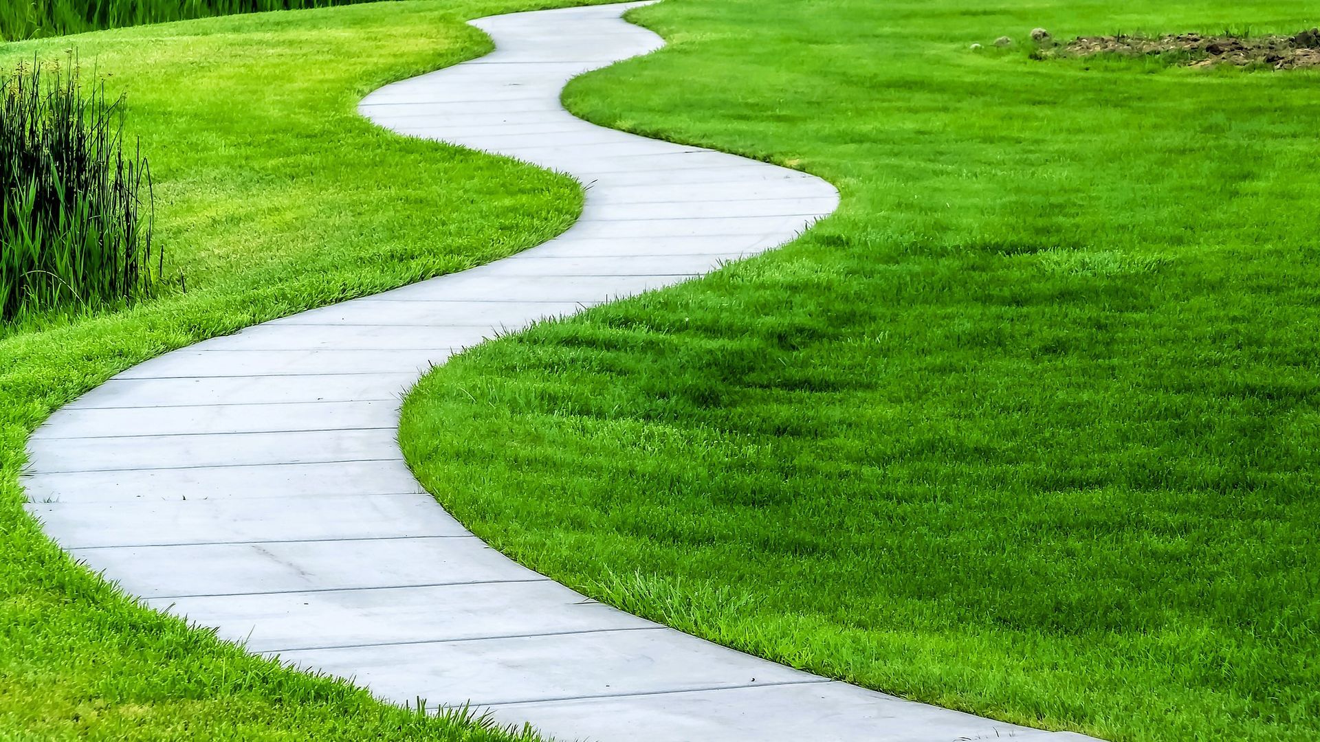 A winding concrete pathway cutting through lush green grass.