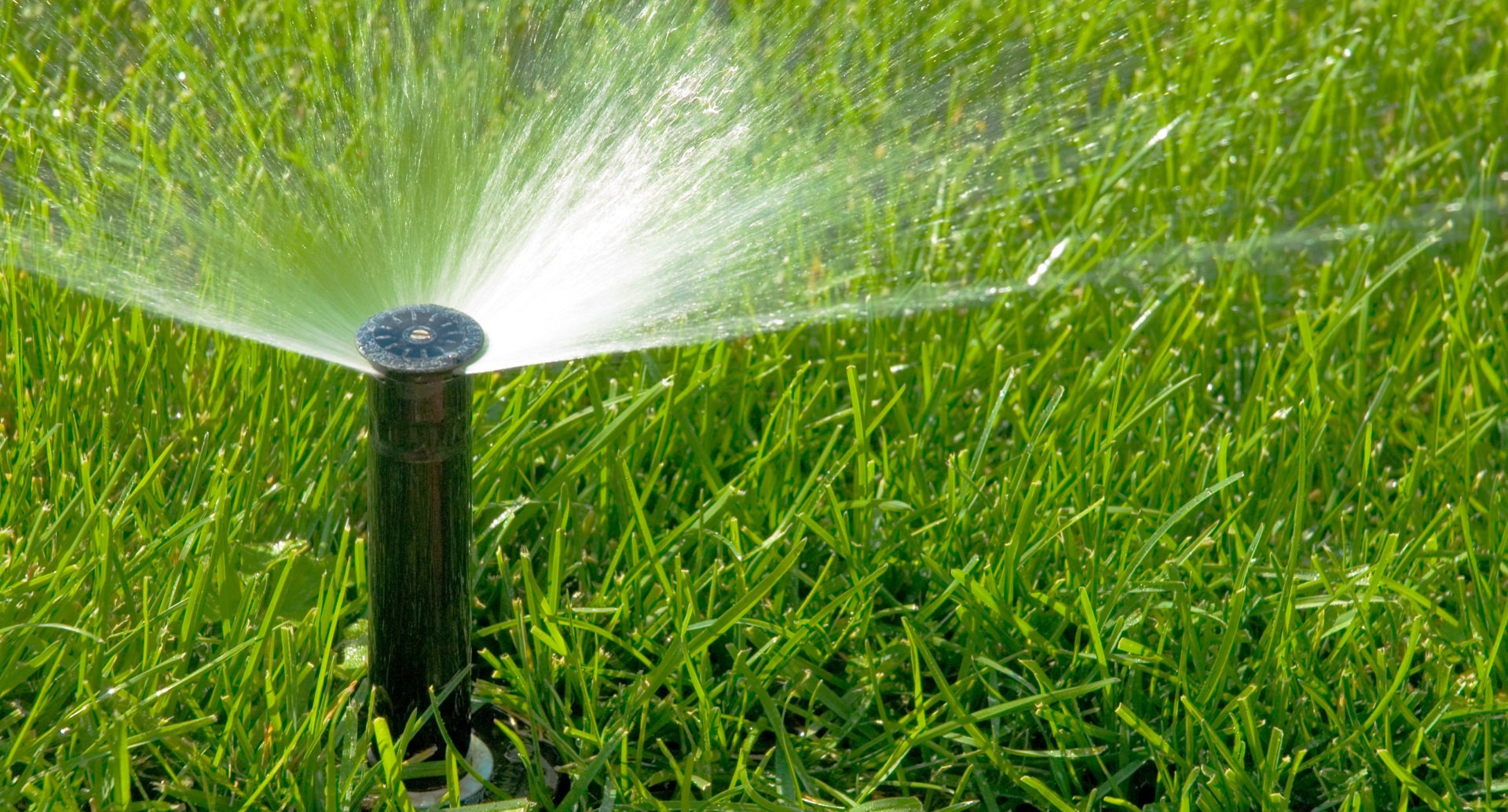 a sprinkler watering the lawn