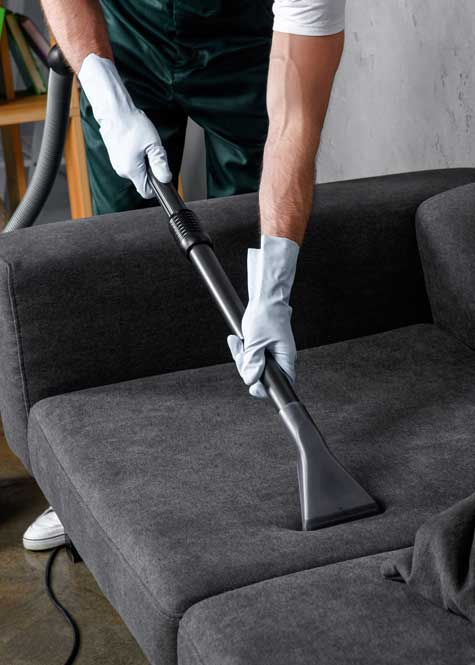 Vacuuming a Sofa