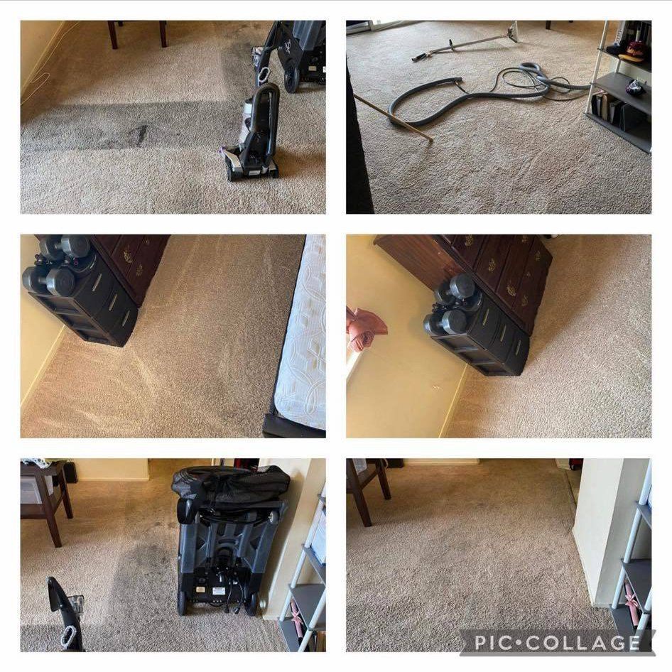 Newly Cleaned Carpet