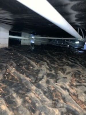 crawlspace inspection
