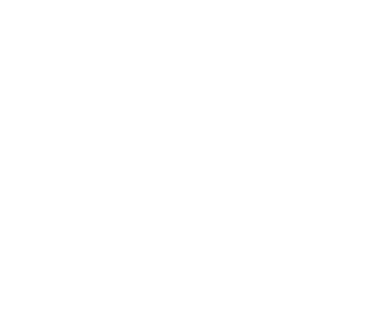 Princess African Hair Braiding Logo