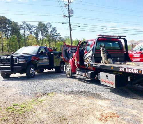 A dog is sitting on the back of a tow truck.