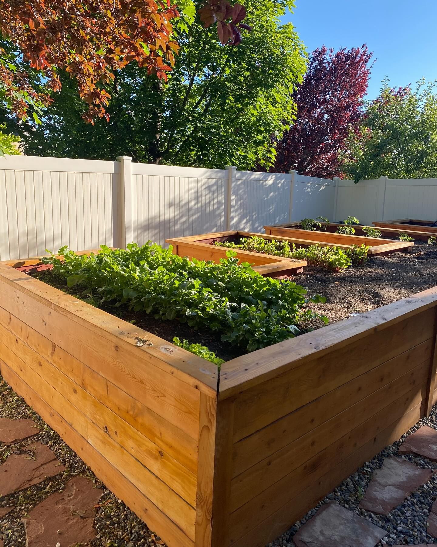 A wooden planter filled with plants in a backyard with a white fence.