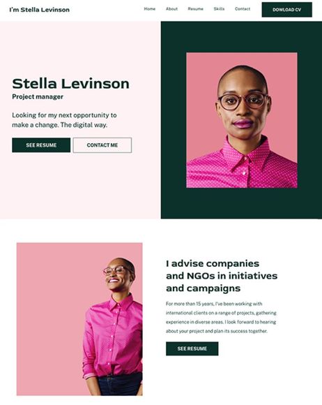 Personal portfolio homepage for Stella Levinson with portrait and campaign-focused text blocks