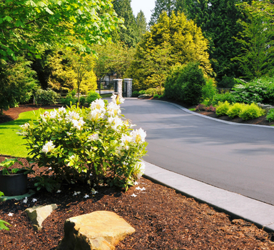 Driveway to house lined with cement sidewalk with dirt and greenery surrounding it