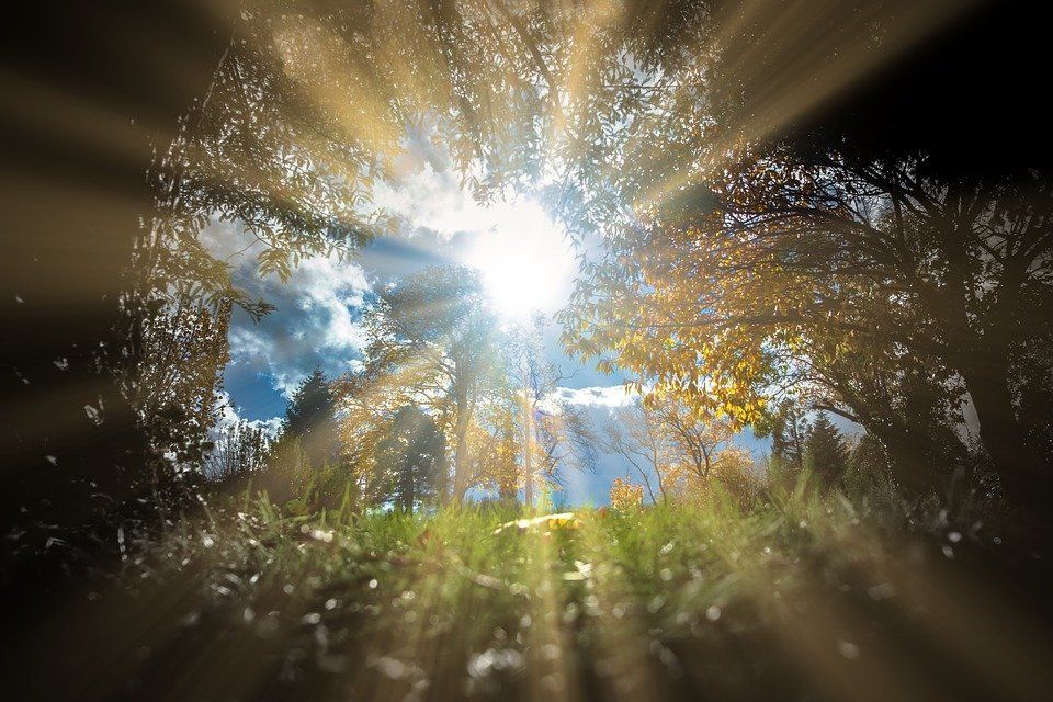 sunshine