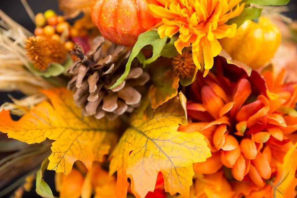 Thanksgiving Wish