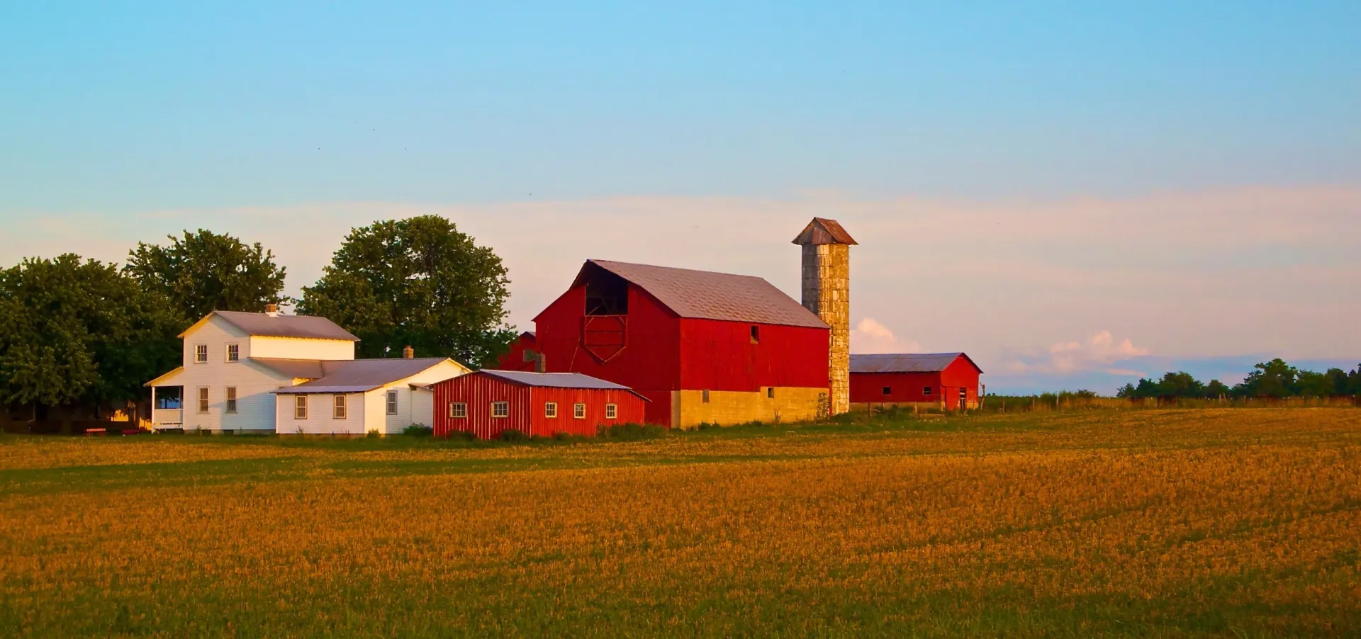 Compassion, Dignity & Respect