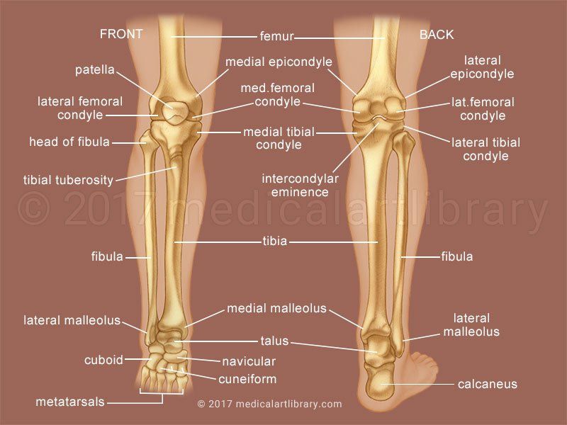 Knee, Leg, Ankle, Foot Pain chiropractor