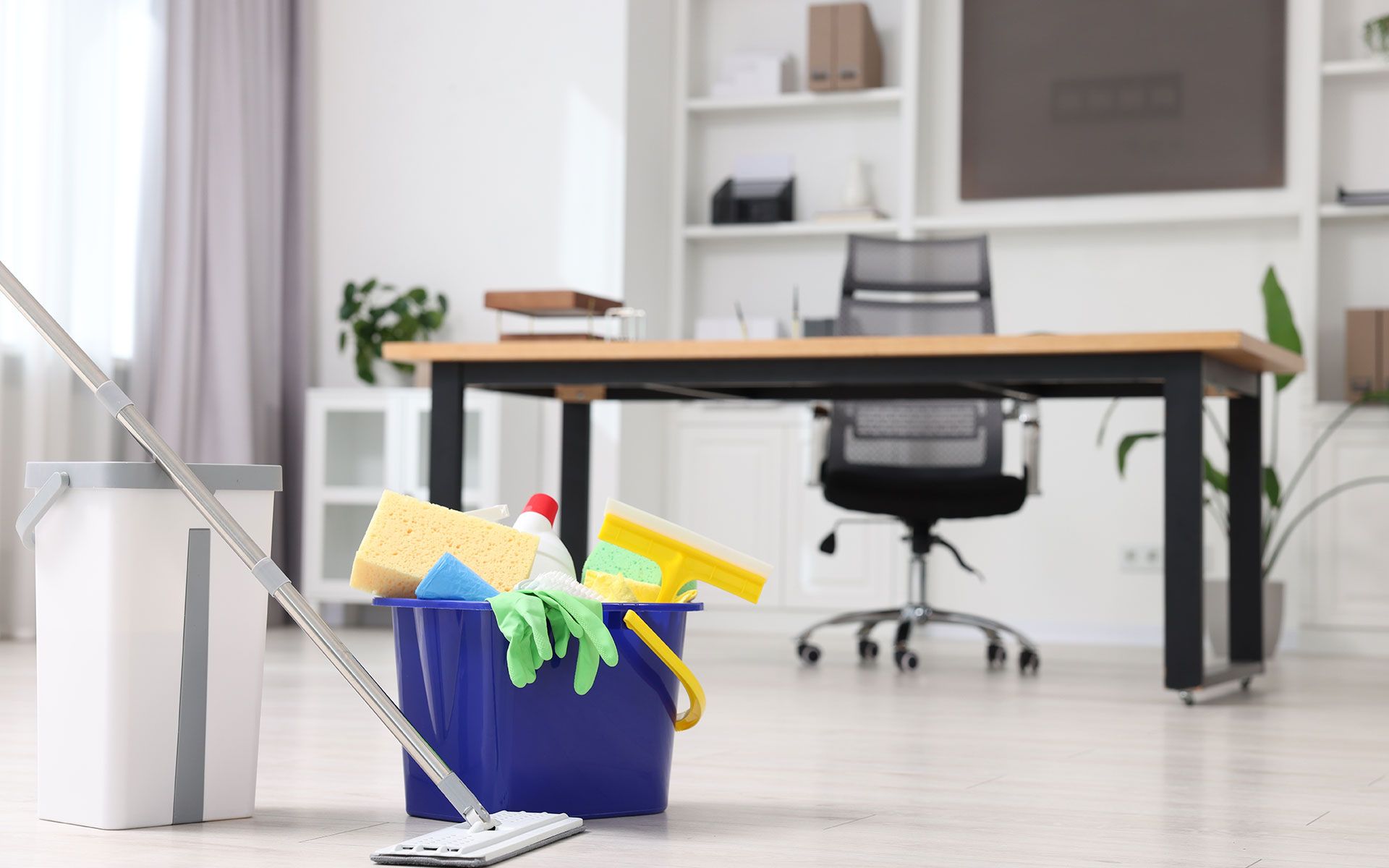 A bucket of cleaning supplies and a mop in an office.