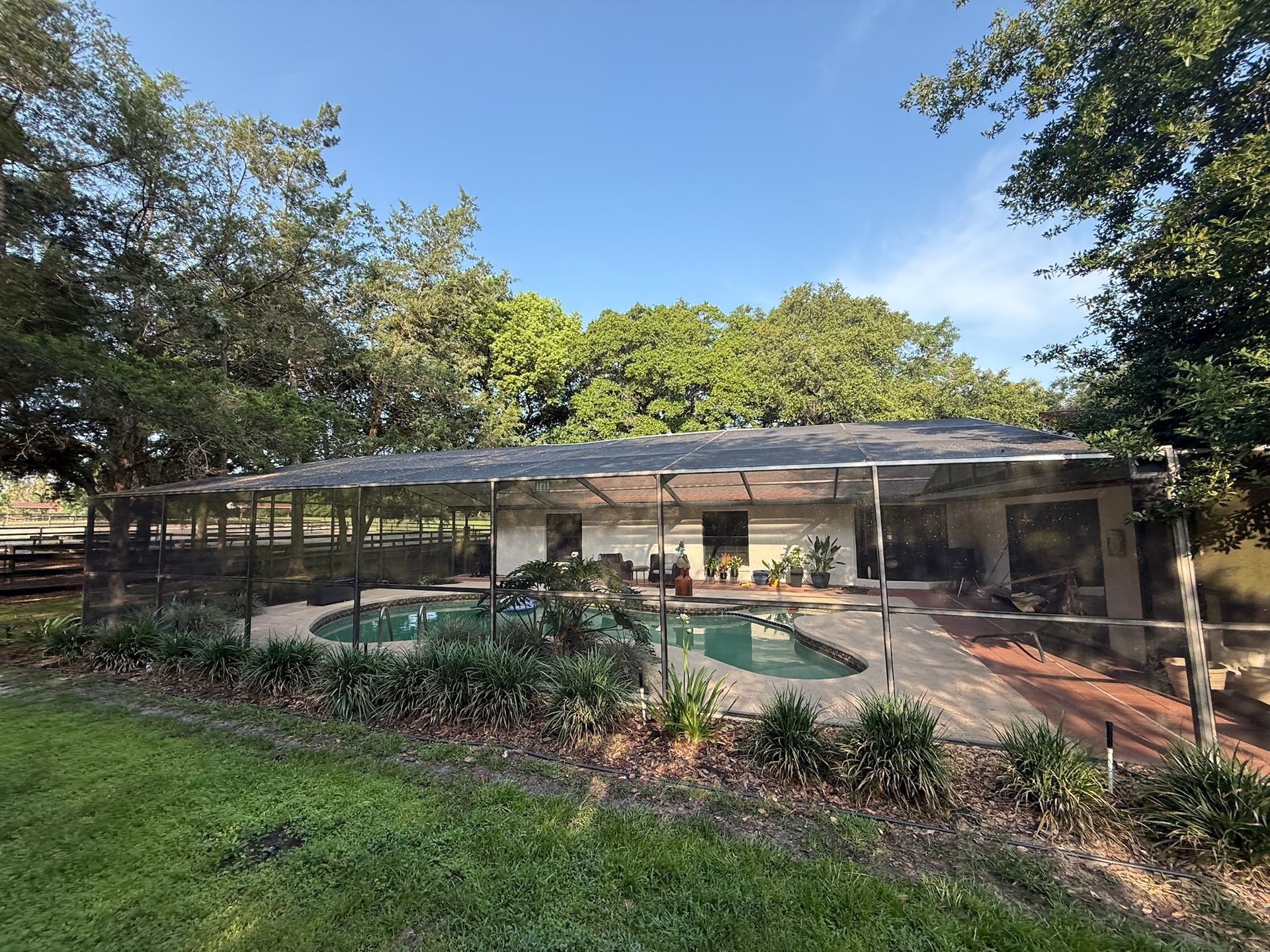 Swimming pool enclosed by a screen. House in the background, surrounded by trees and green grass. Blue sky overhead.