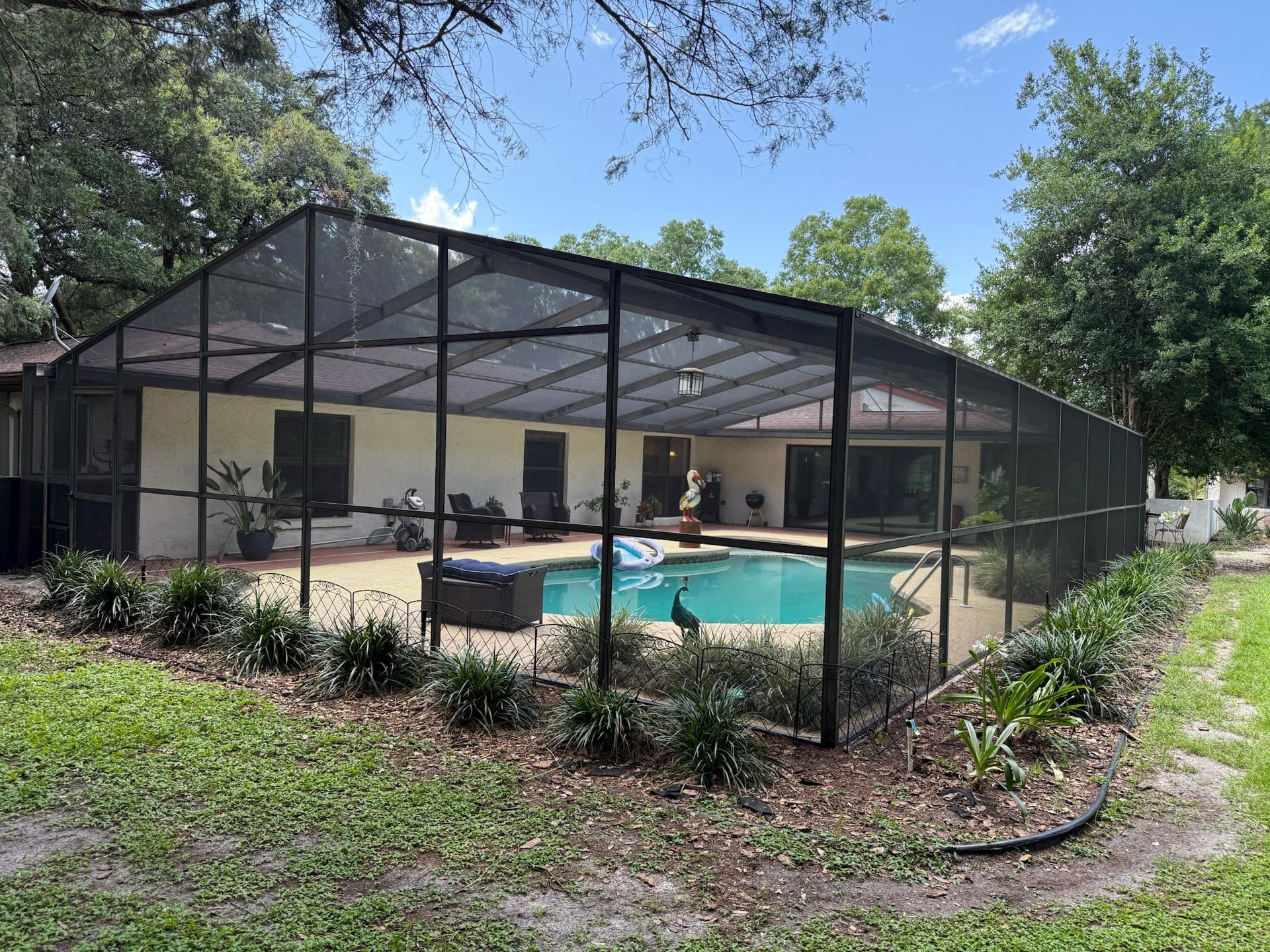 Pool enclosure with a swimming pool, backyard, and a peacock.