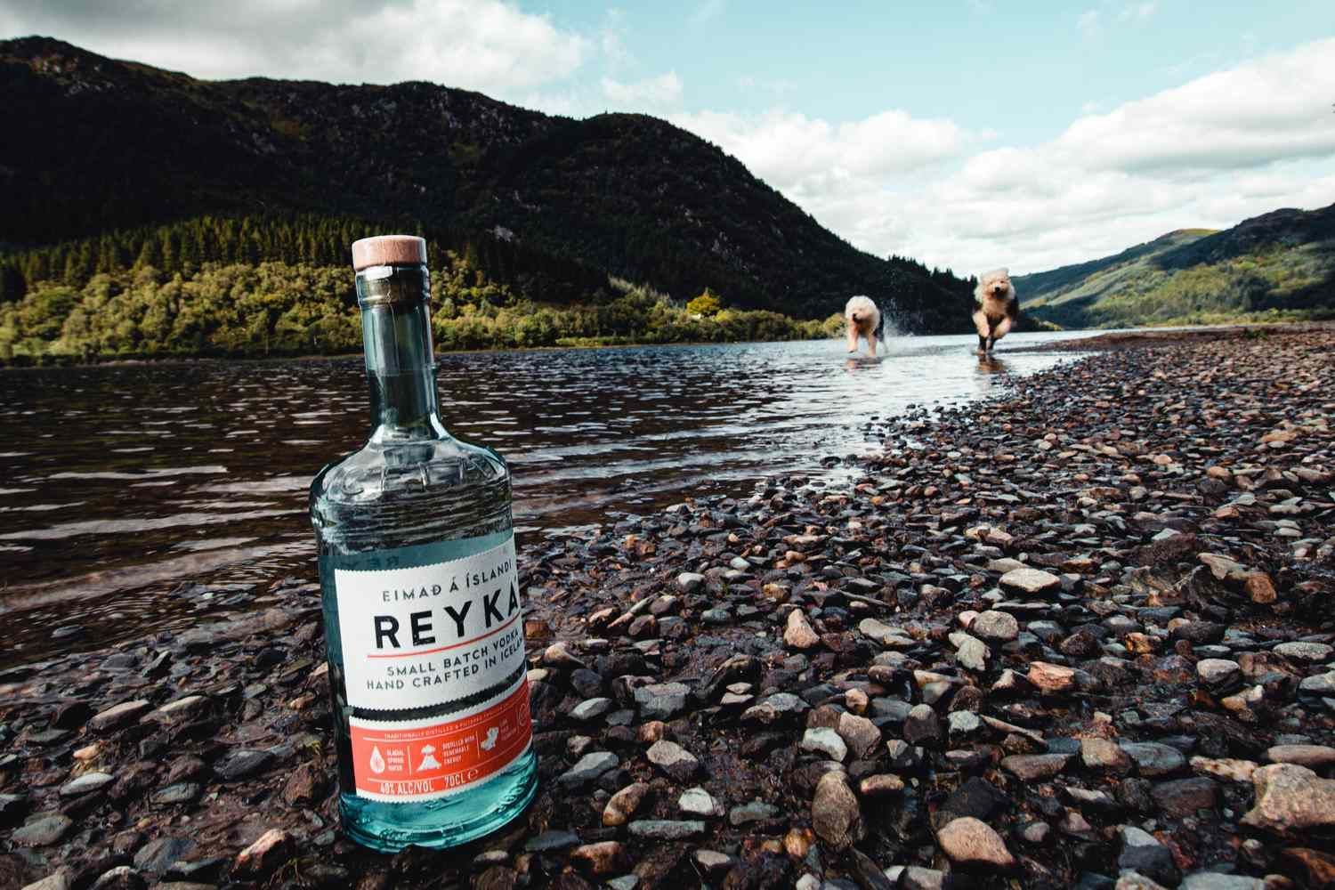 reyka vodka