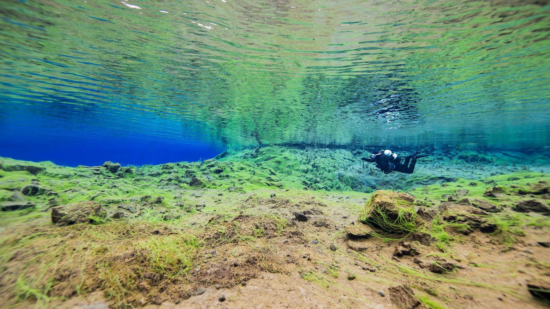 snorkeling in iceland