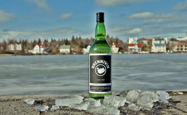 brennivin icelandic iconic alcohol